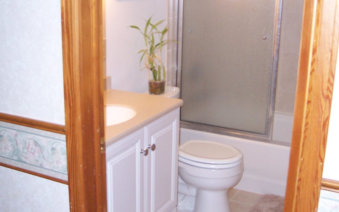 Small Bathroom Renovation
