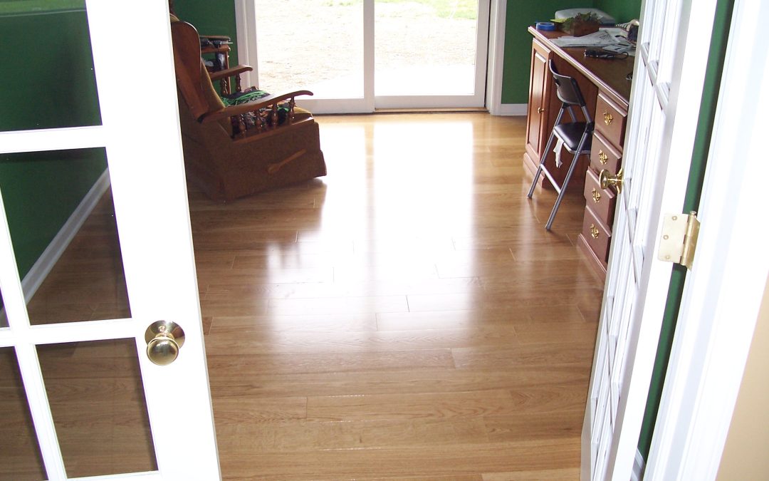 interior 1 1