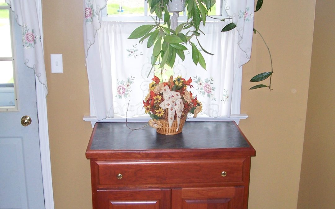media cabinet1